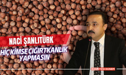 Şanlıtürk: Hiç Kimse Çığırtkanlık Yapmasın