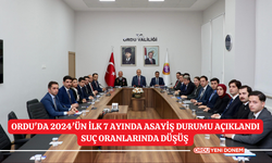 Ordu'da 2024'ün İlk 7 Ayında Asayiş Durumu Açıklandı: Suç Oranlarında Düşüş