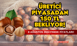 Üretici piyasadan 150 TL bekliyor! 8 Ağustos 2024 fındık fiyatları