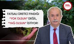 Fatsalı üretici fındığı "Yok olsun" değil "Yağ olsun" istiyor