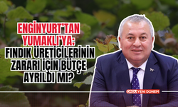 Enginyurt’tan Yumaklı’ya; Fındık Üreticilerinin Zararı İçin Bütçe Ayrıldı Mı?