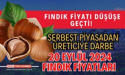 Fındık Fiyatı Düşüşe Geçti! Serbest Piyasadan Üreticiye Darbe! 20 Eylül 2024 Fındık Fiyatları