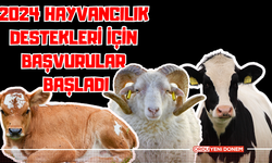 2024 Hayvancılık Destekleri İçin Başvurular Başladı