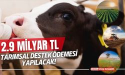 2.9 Milyar TL Tarımsal Destek Ödemesi Yapılacak!