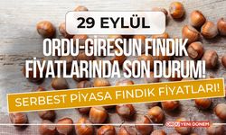 Ordu’da Fındık Fiyatları Düşmeye Devam Ediyor: Üretici Endişeli