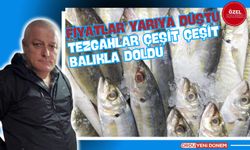 Ordu'da Balık Fiyatları Yarıya Düştü! Tezgahlar Çeşit Çeşit Balıkla Doldu!