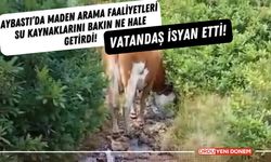 Aybastı’da Maden Arama Faaliyetleri Su Kaynaklarını Bakın Ne Hale Getirdi! Vatandaş İsyan Etti!