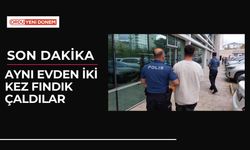 Aynı Evden İki Kez Fındık Çaldılar