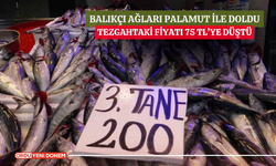 Balıkçı ağları palamut ile doldu, tezgahtaki fiyatı 75 TL’ye düştü