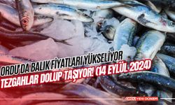 Ordu'da Balık Fiyatları Yükseliyor: Tezgahlar Dolup Taşıyor! (14 Eylül 2024)