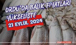 Ordu'da Balık Fiyatları Yükselişte: 21 Eylül 2024