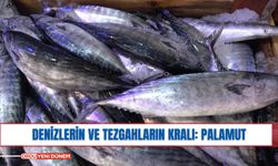 Denizlerin ve Tezgahların Kralı: Palamut