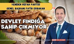 Devlet Fındığa Sahip Çıkmıyor