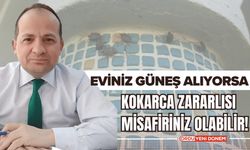 Ordu'da Eviniz Güneş Alıyorsa Kokarca Zararlısı Misafiriniz Olabilir!