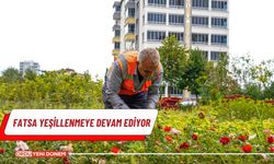 Fatsa yeşillenmeye devam ediyor