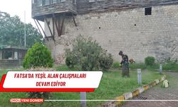 Fatsa'da yeşil alan çalışmaları devam ediyor