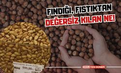 Fındığı, Fıstıktan Değersiz Kılan Ne!