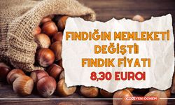 Fındık Fiyatı 8,30 Euro!