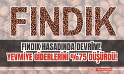 Fındık Hasadında Devrim: Yevmiye Giderlerini %75 Düşürdü!