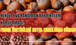 Rekolte ve Randıman Beklentileri Karşılamadı! Fındık Üreticileri Hayal Kırıklığına Uğradı