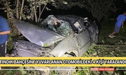 Fındık Bahçesine Yuvarlanan Otomobildeki 4 Kişi Yaralandı