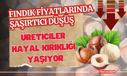 Fındık Fiyatlarında Şaşırtıcı Düşüş: Üreticiler Hayal Kırıklığı Yaşıyor