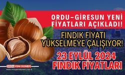 Ordu-Giresun yeni fiyatları açıkladı! Fındık fiyatı yükselmeye çalışıyor! 23 Eylül 2024 Fındık fiyatları