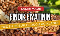 Fındık fiyatının neden düşük olduğu açıklandı!