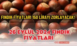 Fındık fiyatları 150 Lirayı zorlayacak! 26 eylül fındık fiyatları