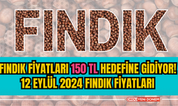 Fındık fiyatları 150 TL hedefine gidiyor! 12 Eylül 2024 fındık fiyatları