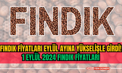 Fındık fiyatları eylül ayına yükselişle girdi! 1 Eylül 2024 Fındık Fiyatları