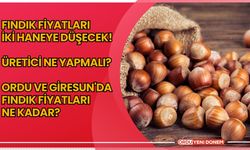 Fındık fiyatları iki haneye düşecek! Üretici ne yapmalı? Ordu ve Giresun'da fındık fiyatları ne kadar?