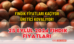 Fındık fiyatları kaçıyor, üretici kovalıyor! 25 eylül 2024 fındık fiyatları