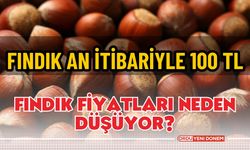 Fındık An İtibariyle 100 TL!