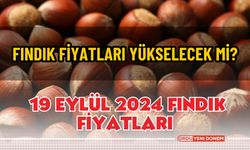 Fındık fiyatları yükselecek mi? 19 Eylül 2024 fındık fiyatları