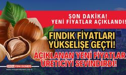 Fındık fiyatları yükselişe geçti! Açıklanan yeni fiyatlar üreticiyi sevindirdi!