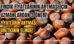 Fındık Fiyatlarının Artması İçin Uzmanlardan 3 Öneri! Fiyatların Artması Üreticinin Elinde!