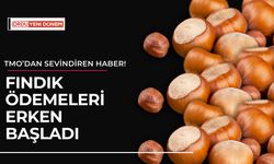 TMO’dan Sevindiren Haber! Fındık Ödemeleri Erken Başladı