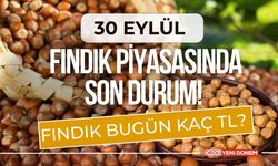 Fındık Piyasasında Son Durum! Fındık Bugün Kaç TL? 30 Eylül 2024 Pazartesi