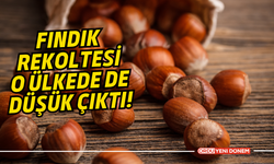 Fındık Rekoltesi O Ülkede de Düşük Çıktı!