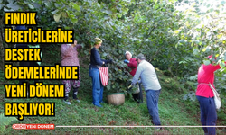 Fındık Üreticilerine Destek Ödemelerinde Yeni Dönem Başlıyor!