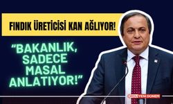 “Fındık Üreticisi Kan Ağlıyor! Bakanlık, Sadece Masal Anlatıyor!”