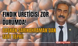 Fındık Üreticisi Zor Durumda: Başkan Sarıkahraman’dan Sert Tepki!