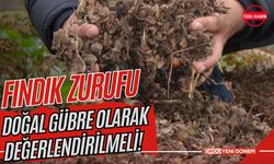 Fındık Zurufu Doğal Gübre Olarak Değerlendirilmeli!