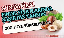 Fındık Fiyatlarında Şaşırtan Tahmin 200 TL’ye Yükselebilir!