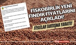 Fiskobirlik Yeni Fındık Fiyatlarını Açıkladı! Fiyatlar Tartışma Yarattı!