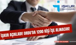 İşkur açıkladı! Ordu'da 1200 kişi işe alınacak!