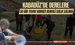 Kabadüz'de Derelere 50 Bin Yavru Kırmızı Benekli Balık Salındı