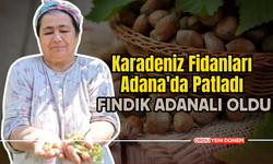 Karadeniz Fidanları Adana'da Patladı: Fındık Adanalı Oldu