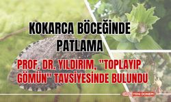 Kokarca Böceğinde Patlama: Prof. Dr. Yıldırım, "Toplayıp Gömün" Tavsiyesinde Bulundu